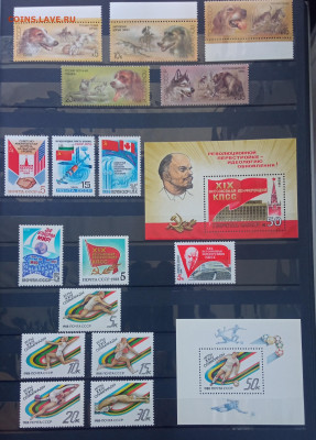 полный годовой набор СССР 1988 год ЧБН - IMG_20210922_150710