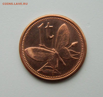 Папуа-Новая Гвинея 1 тойя 2004 г. (Фауна). до 28.09.21 - DSCN0756.JPG