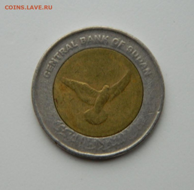 Судан 50 пиастров 2006 г. (БИМ) Фауна до 28.09.21 - DSCN0782.JPG