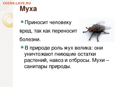 делает - прямо сейчас !!! - 2010d4834470f9508ededfa109f905e1