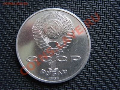 Год Мира - Шалаш, до 3.11.2011 22.00 по москве - DSC02609.JPG