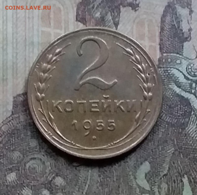 2 копейки 1955. До 26.9.21 в 22.00 - 20210924_174720