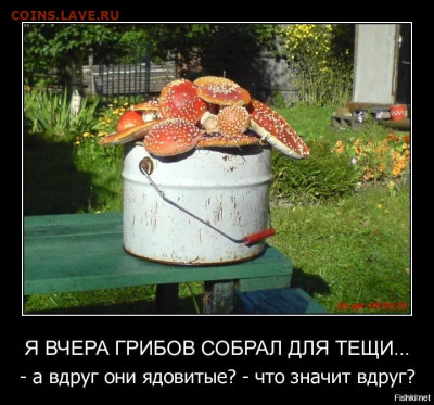 юмор - 0f7ec1c5af42c078f2cc4df882c4bef2