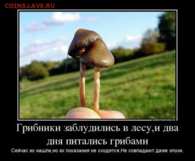 юмор - Прикольные-картинки-с-грибами-в-лесу-003