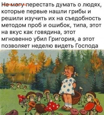 юмор - Грибы
