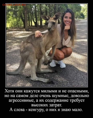 юмор - 54