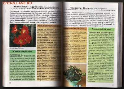 Уход за комнатными растениями 2010 г. до 04.10.21 г. в 23.00 - 050