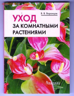 Уход за комнатными растениями 2010 г. до 04.10.21 г. в 23.00 - 052