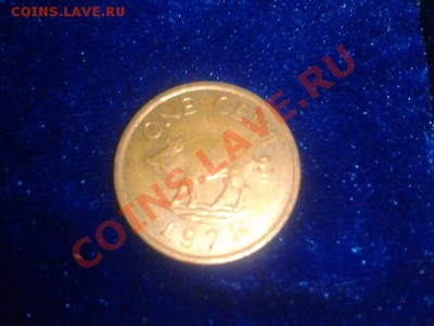 БЕРМУДСКИЕ ОСТРОВА кабанчик 1978 до 30.10.11 в 22.30 - 2011-10-28 15.36.52
