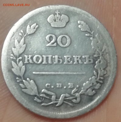 20 копеек 1816 пс перегравировка из мф - bXTSnm4HNR4