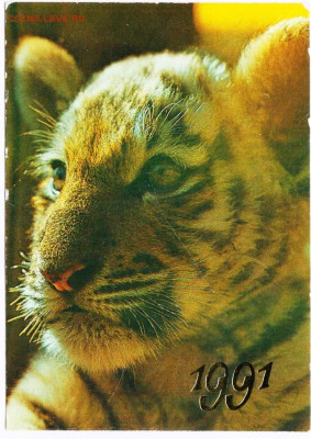 Календарик 1991 г. до 06.10.21 г. в 23.00 - 022