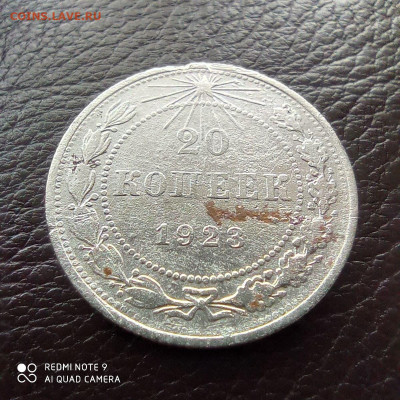 10 копеек 1922г и 20 копеек 1923г, до 04.10 - photo_2021-09-17_22-15-46 (3)