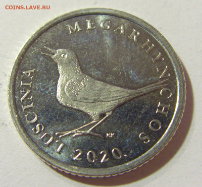 1 куна 2020 Хорватия №1 04.10.2021 22:00 М - CIMG7374.JPG