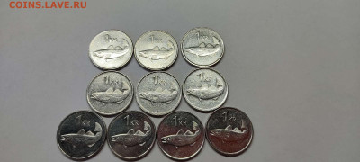 фото №1 - IMG_20210929_143930_thumb