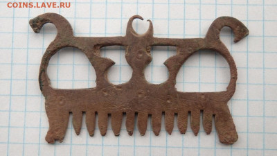 Бородочёс. - PA016070.JPG