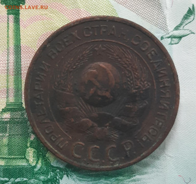 3 Копейки 1924 (4стебля) - 20211001_111452