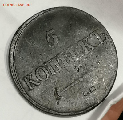Короткий аук. 5 Коп. 1831 СМ 04.10.21 г 18 ч. МСК - IMG_20211001_183916