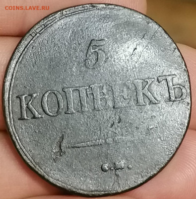 Короткий аук. 5 Коп. 1831 СМ 04.10.21 г 18 ч. МСК - IMG_20211001_184053