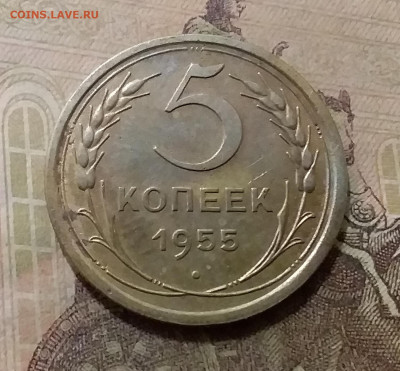 5 копеек 1955. До 6.10.21 в 22.00 - 20211001_224633