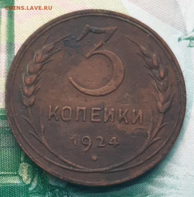 3 Копейки 1924 (4стебля) - 20211002_125738