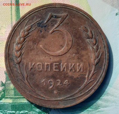 3 Копейки 1924 (4стебля) - 20211003_122620