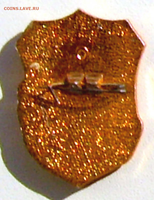 Знак Дружинник до 10.10.21. 22-00 Мск - Знак Дружинник (2).JPG
