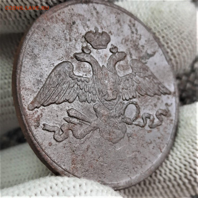 5 копеек - крылья вниз - 09-10-21 - 23-10 мск - 20210921_140035