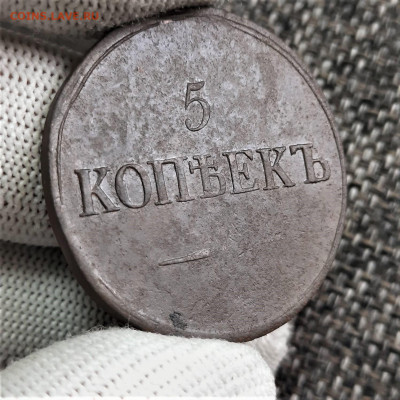 5 копеек - крылья вниз - 09-10-21 - 23-10 мск - 20210921_140021