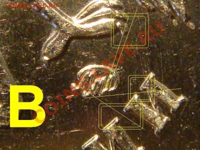 2010 5 рублей ММД возможно НОВЫЙ ВИД? - Копия DSC01674.JPG