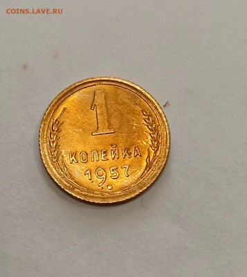 Дореформа 1 копейка 1957 года до 08.10 в 22.00 - IMG_20211006_174751