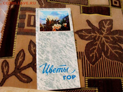 открытки(наборы): Цветы и анс. Берёзка - DSC05447.JPG