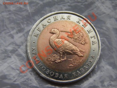 10 руб.Красная книга 1992г. комплект. - PA290024.JPG