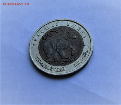 50 руб 1993 Гималайский медведь с 200 р до 15.10.21 г. 22:00 - IMG_2687.JPG
