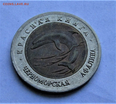 50 руб 1993 КК Афалина с 200 руб. до 15.10.21 г. 22:00 - IMG_2696.JPG