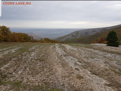 ФОТО - просто фото. Те что получились удачными. - Screenshot_20211009-203933_Gallery