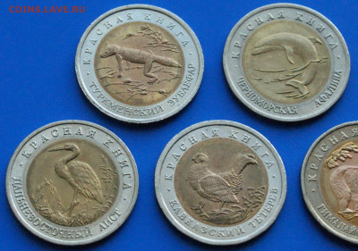 Красная книга. 5 монет 1993 г. до 14.10 - 25.1.3.JPG