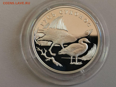 1р 2006г Красная книга- Гусь сухонос - пруф Ag925, до 17.10 - Y Гусь-1