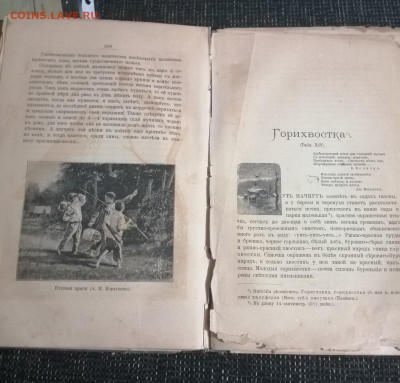 две старые книги (до революционные) - 1-4