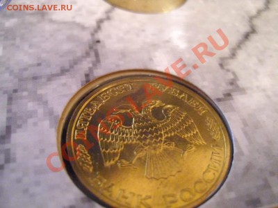 rishar77 - репа 700!!!!!!!!! - IMG_1656.JPG