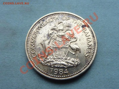 БАГАМЫ 1с 1984г. МОРСКАЯ ЗВЕЗДА  до 4.11.11 в 22-00 - MEMO0035.JPG