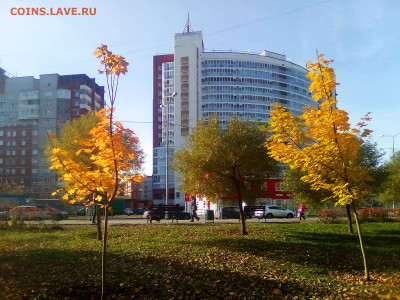 ФОТО - просто фото. Те что получились удачными. - 2021-10-13 13-54-39