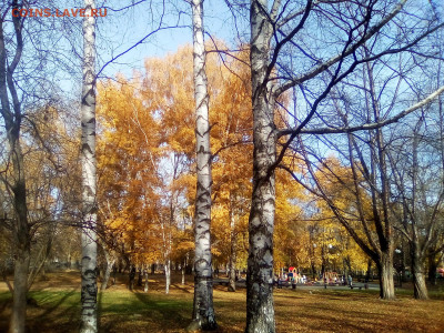 ФОТО - просто фото. Те что получились удачными. - 2021-10-13 13-51-03