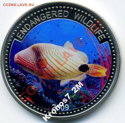 Палау "600 лет Грюнвальдской битве" - Палау 2009 недостающая