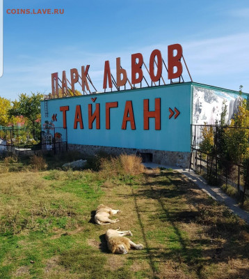 делает - прямо сейчас !!! - Screenshot_20211014-150603_Gallery