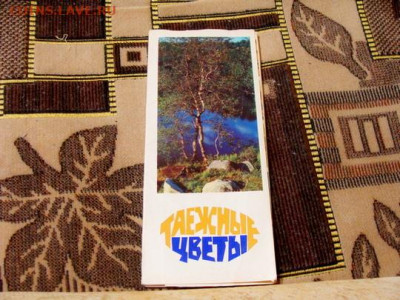 открытки наборы:анс. народного танца и цветы - DSC05424.JPG