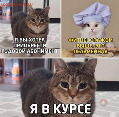 юмор - Пельменка