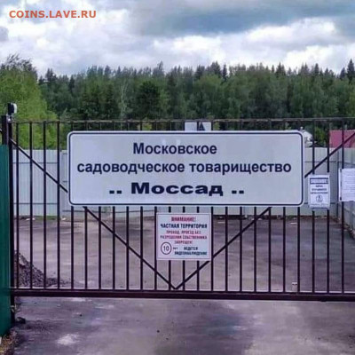юмор - 210717