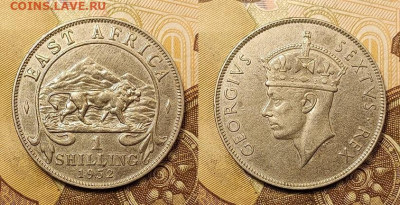1 шиллинг 1952 Британская Восточная Африка 23.10.2021 22:00 - britanskaja_vostochnaja_afrika_1_shilling_1952