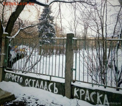юмор - 1632292545_007