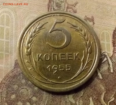 5 копеек 1955. До 23.10.21 в 22.00 - 20211018_231919